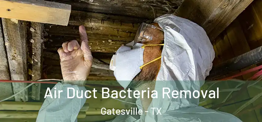  Air Duct Bacteria Removal Gatesville - TX