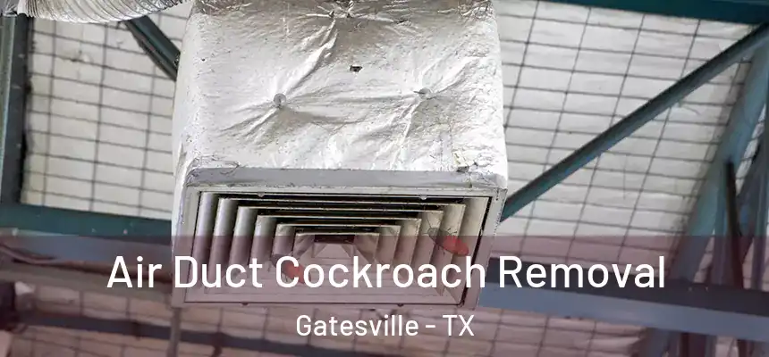  Air Duct Cockroach Removal Gatesville - TX