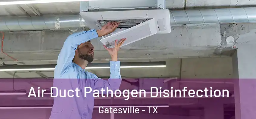  Air Duct Pathogen Disinfection Gatesville - TX