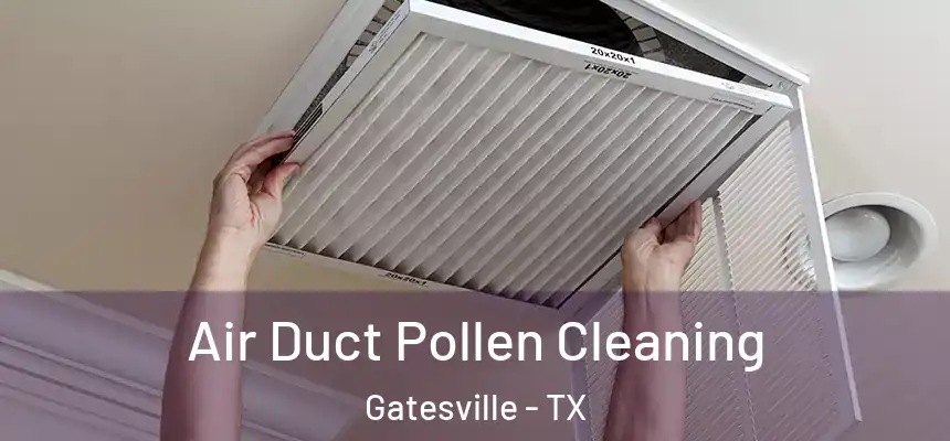  Air Duct Pollen Cleaning Gatesville - TX