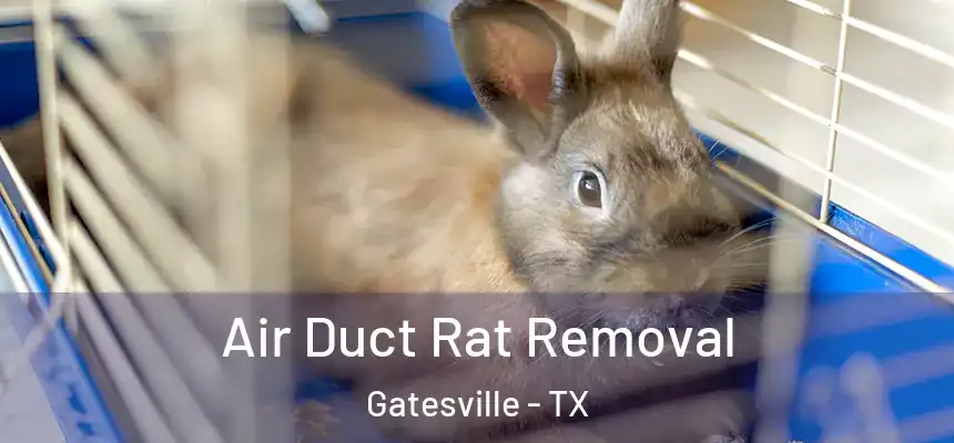  Air Duct Rat Removal Gatesville - TX