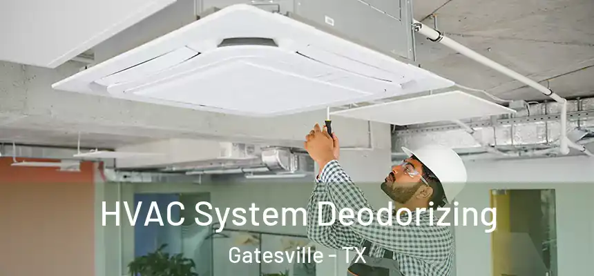  HVAC System Deodorizing Gatesville - TX