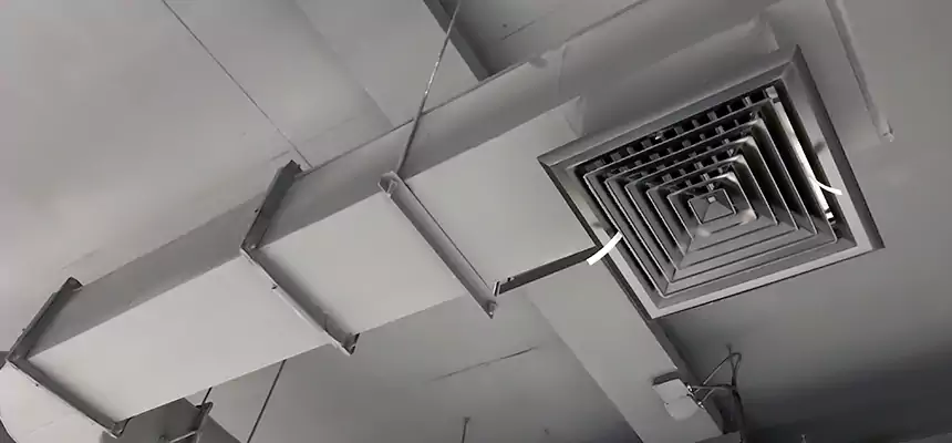 Our Pest Removal From Ducts Services in Gatesville, TX