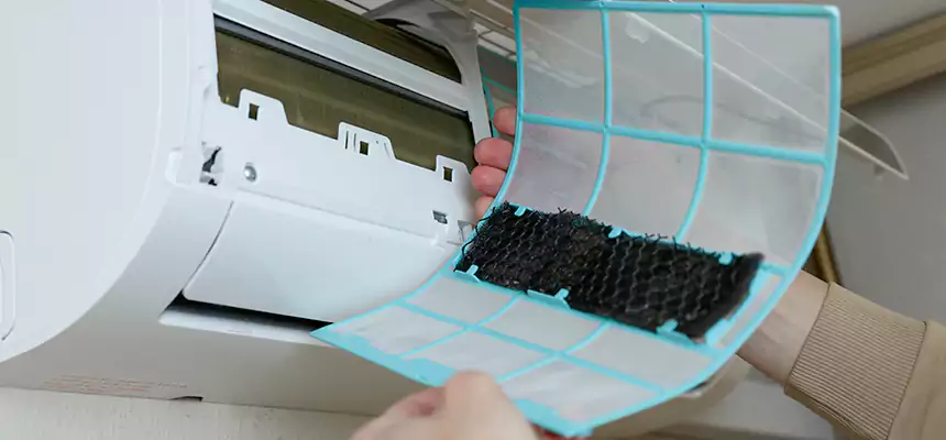 Gentle Ductwork Odor-Control Pet Dander Duct Cleaning in Gatesville, TX