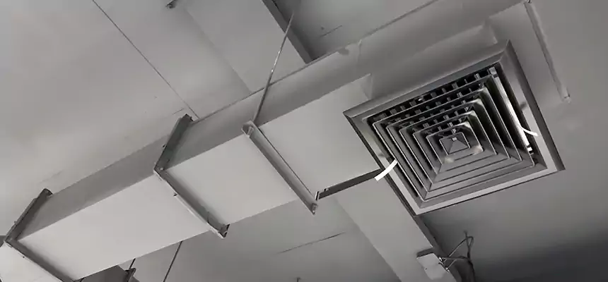 Our Rodent Droppings In Vents Services in Gatesville, TX