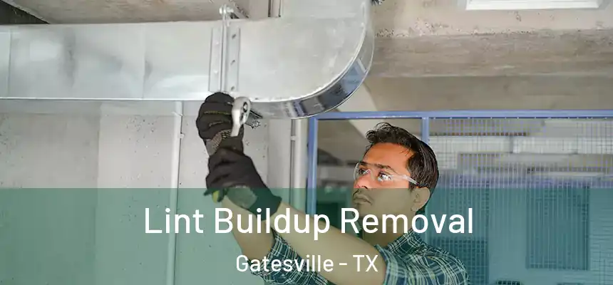  Lint Buildup Removal Gatesville - TX