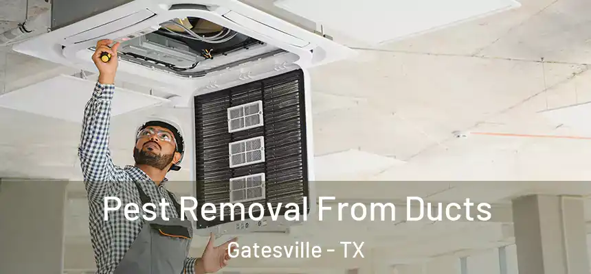  Pest Removal From Ducts Gatesville - TX