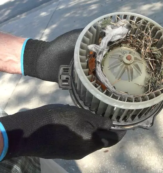 About Air Duct Mice Removal in Gatesville, TX