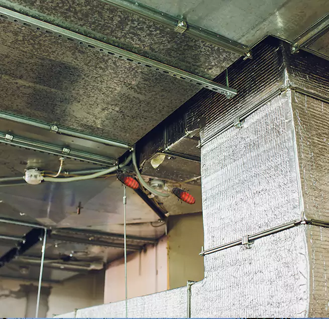 Why Homeowners & Businesses Trust Us in Gatesville, TX?