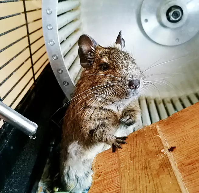 Why Homeowners & Businesses Trust Us Gatesville, TX?