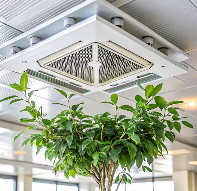 Why Homeowners & Businesses Trust Us in Gatesville, TX?