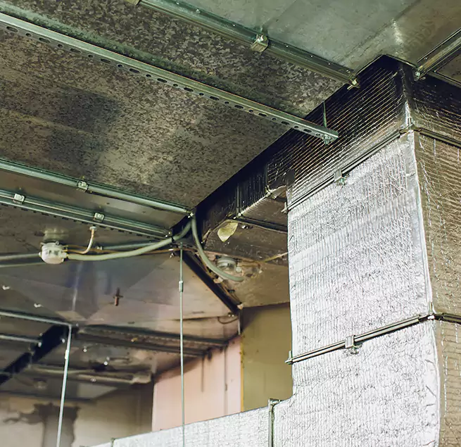 Why Homeowners & Businesses Trust Us in Gatesville, TX?